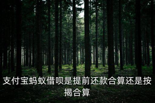 螞蟻借唄怎么還款劃算嗎，螞蟻借唄等額還款好還是先息后本好這兩種還法哪一種利息高