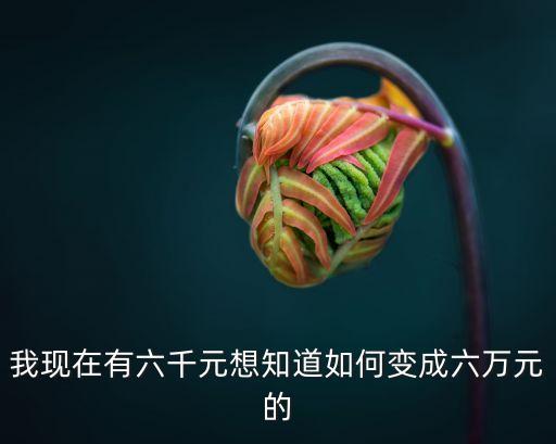 我現(xiàn)在有六千元想知道如何變成六萬元的