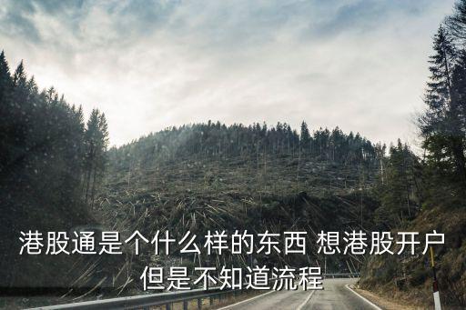 港股通是個什么樣的東西 想港股開戶但是不知道流程