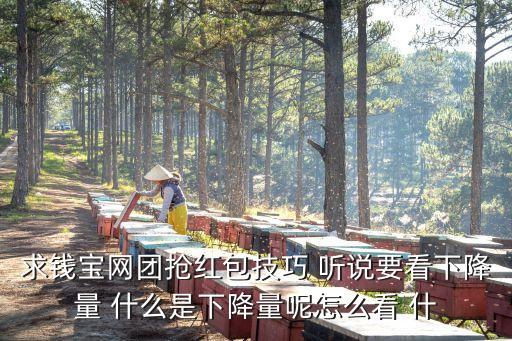 錢寶怎么玩賺錢，錢寶做任務掙得是寶券怎么才掙寶幣