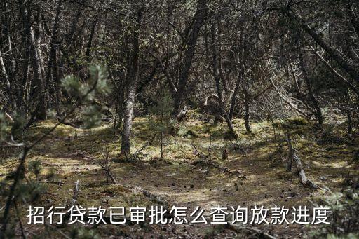 招行車貸放款怎么查詢，我在招商銀行申請的貸款請問貸款進度怎么查詢
