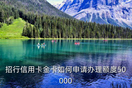 招商visa金卡怎么辦，求海淘的親招商的VISA卡怎么辦理