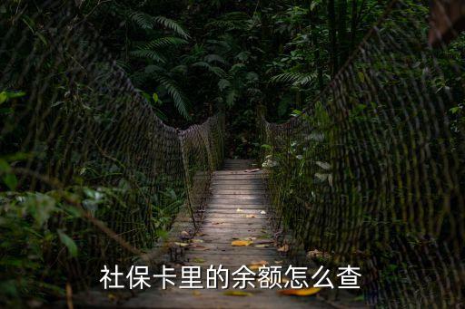 怎么查社?？ㄉ系挠囝~，社?？ɡ锏挠囝~怎么查