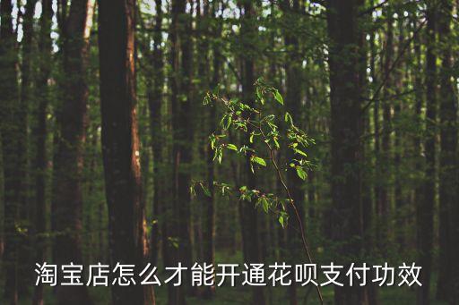 淘寶店怎么設(shè)置花唄支付，淘寶賣家怎么開通支持花唄付款