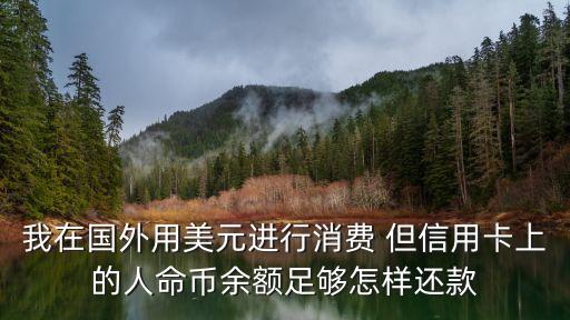 公務(wù)卡國外消費(fèi)怎么還，信用卡到國外消費(fèi)的美元怎么還款
