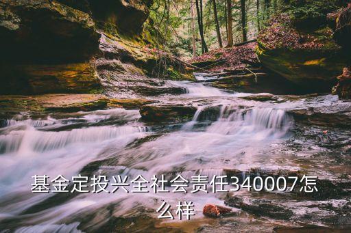 基金定投興全社會責任340007怎么樣