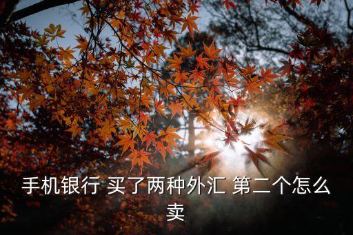 手機(jī)銀行 買了兩種外匯 第二個(gè)怎么賣