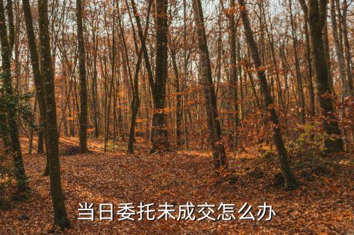 委托未成交怎么辦，當日委托未成交怎么辦