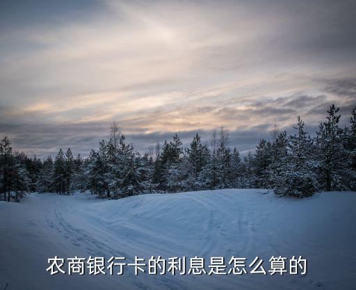 農(nóng)商行e貸卡利息怎么算，農(nóng)銀快e貸中網(wǎng)捷貸58的利率是年還是月