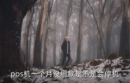pos機一個月沒刷款是不是會停機