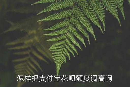 怎樣把支付寶花唄額度調(diào)高啊