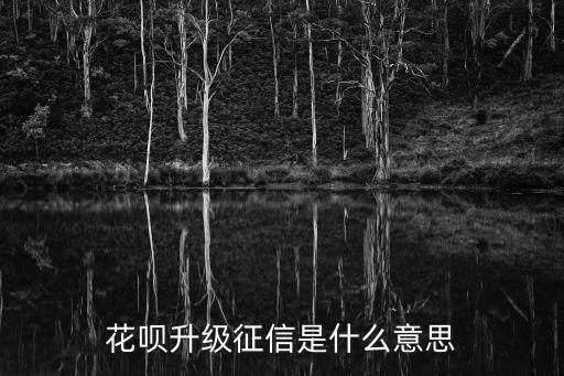 花唄升級(jí)征信是什么意思