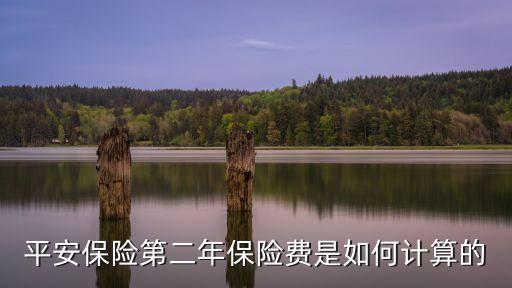 平安保險第二年保險費是如何計算的
