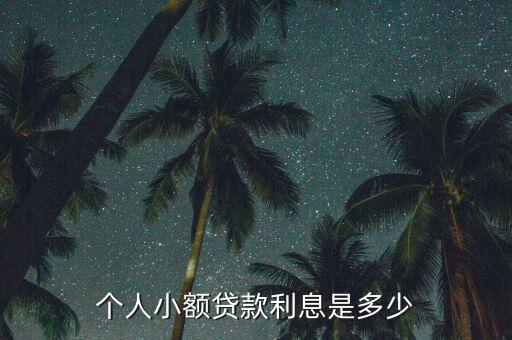 個人小額貸款利息是多少
