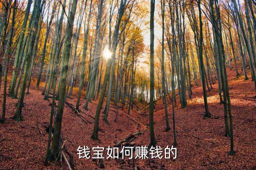 錢寶眾籌怎么賺錢嗎，錢寶可以收入可以領(lǐng)取多少任務(wù)一次的話可以領(lǐng)取多少任務(wù)