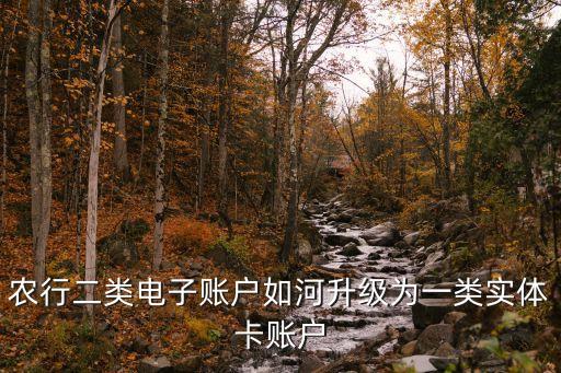 農(nóng)行二類電子賬戶如河升級(jí)為一類實(shí)體卡賬戶