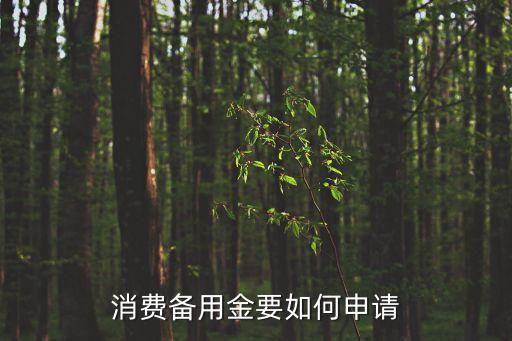 浦發(fā)信用卡備用金怎么申請表，信用卡備用金怎么申請
