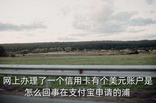 浦發(fā)信用美元怎么用，得信用憑證去哪里兌換現(xiàn)金
