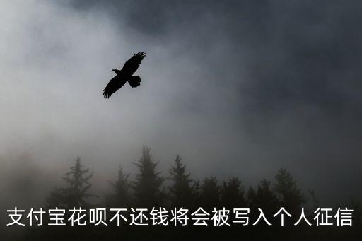 支付寶花唄不還錢(qián)將會(huì)被寫(xiě)入個(gè)人征信