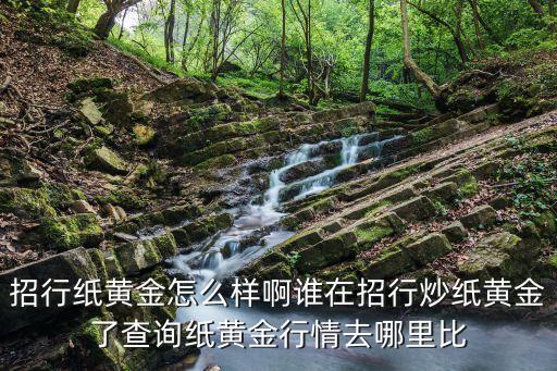 招行紙黃金怎么樣啊誰(shuí)在招行炒紙黃金了查詢紙黃金行情去哪里比