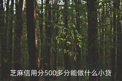 芝麻信用分500多分能做什么小貸
