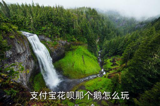 螞蟻花唄怎么玩，qq上面和支付寶上面的螞蟻花唄怎么搞