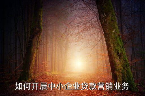 如何開(kāi)展中小企業(yè)貸款營(yíng)銷(xiāo)業(yè)務(wù)