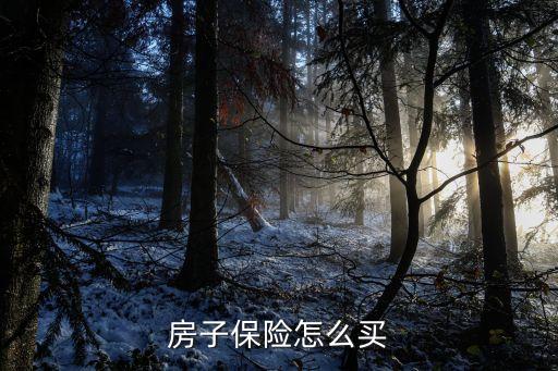房子保險(xiǎn)怎么買(mǎi)