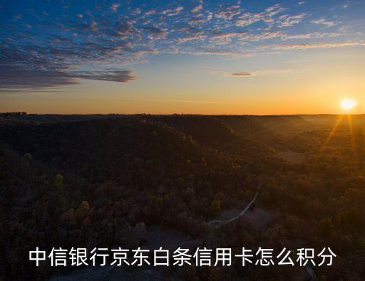 中信小白卡怎么有積分，中信銀行信用卡 京東商城 有積分嗎