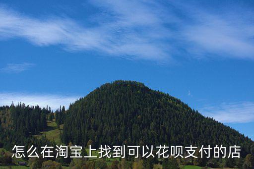 淘寶上怎么看能用花唄支付，怎么在淘寶上找到可以花唄支付的店