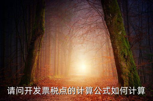 10稅點怎么算法，稅票點數(shù)怎么計算