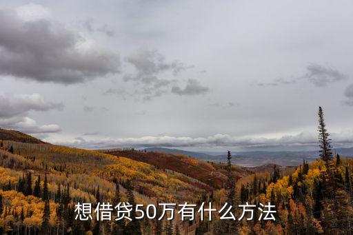 想借貸50萬有什么方法