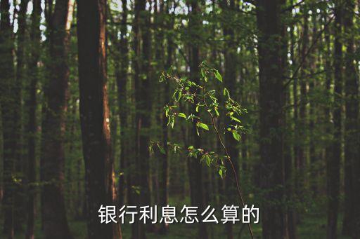 錢存銀行怎么給利息是多少，銀行利息怎么算