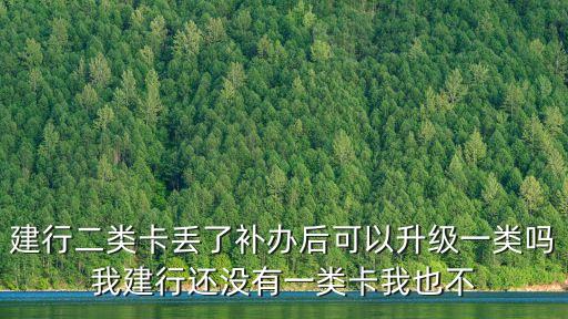 二級卡怎么升級銀行卡，農(nóng)行二類電子賬戶如河升級為一類實體卡賬戶