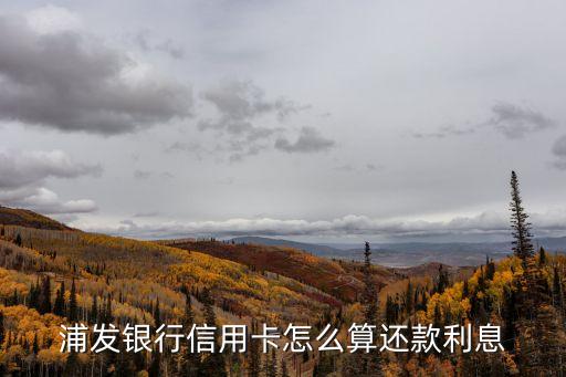 浦發(fā)銀行信用卡怎么算還款利息
