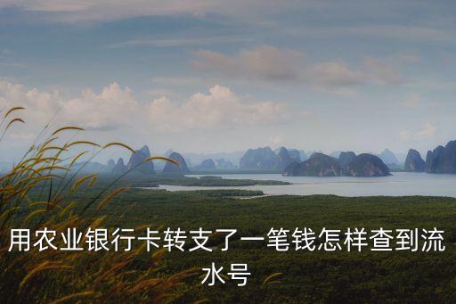 農(nóng)行有流水號(hào)怎么查詢，怎么查詢中國(guó)農(nóng)業(yè)銀行的流水號(hào)