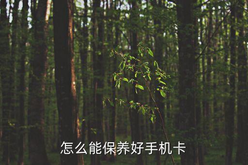 怎么能保養(yǎng)好手機(jī)卡