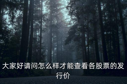 大家好請(qǐng)問(wèn)怎么樣才能查看各股票的發(fā)行價(jià)