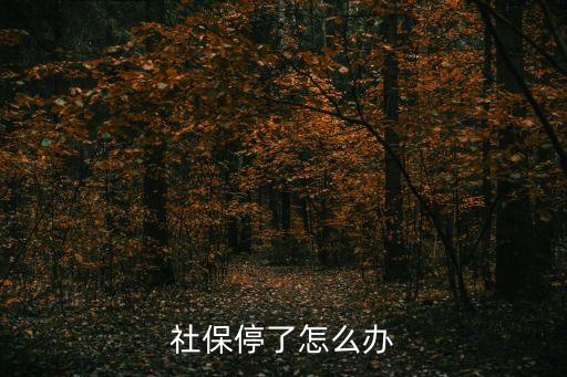 社保停掉了怎么處理，社保停了怎么辦
