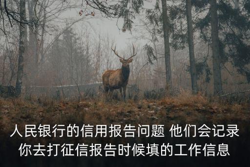 人民銀行的信用報告問題 他們會記錄你去打征信報告時候填的工作信息