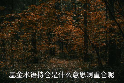 基金術(shù)語持倉是什么意思啊重倉呢