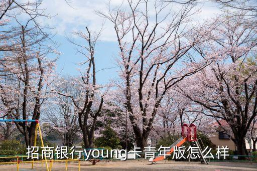 招商銀行young卡青年版怎么樣