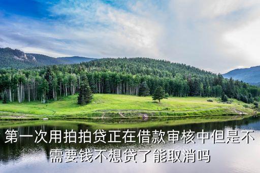 拍拍貸怎么撤銷審核，拍拍貸借款審核中怎么取消