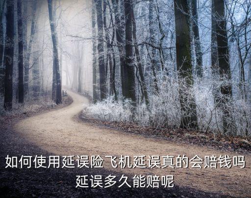 交行白金延誤險 怎么算，保險第二天開始生效頭天已開始延誤出險共延誤4天怎么算理賠