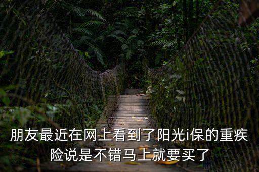 朋友最近在網(wǎng)上看到了陽(yáng)光i保的重疾險(xiǎn)說(shuō)是不錯(cuò)馬上就要買(mǎi)了