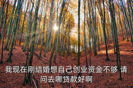 我現(xiàn)在剛結(jié)婚想自己創(chuàng)業(yè)資金不夠 請(qǐng)問(wèn)去哪貸款好啊