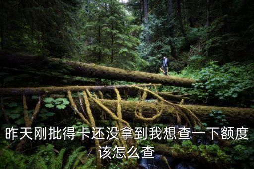 昨天剛批得卡還沒拿到我想查一下額度該怎么查