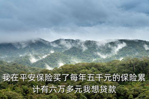 我在平安保險買了每年五千元的保險累計有六萬多元我想貸款