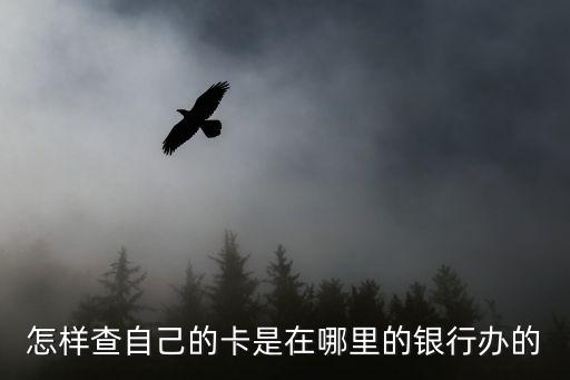 銀行卡怎么看哪里的，能查到我的銀行卡哪里辦的嗎
