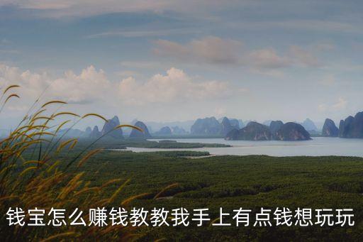 錢寶怎么賺錢教教我手上有點(diǎn)錢想玩玩